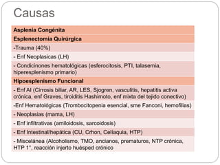 Causas
Asplenia Congénita
Esplenectomía Quirúrgica
-Trauma (40%)
- Enf Neoplasicas (LH)
- Condicinones hematológicas (esferocitosis, PTI, talasemia,
hiperesplenismo primario)
Hipoesplenismo Funcional
- Enf AI (Cirrosis biliar, AR, LES, Sjogren, vasculitis, hepatitis activa
crónica, enf Graves, tiroiditis Hashimoto, enf mixta del tejido conectivo)
-Enf Hematológicas (Trombocitopenia esencial, sme Fanconi, hemofilias)
- Neoplasias (mama, LH)
- Enf infiltrativas (amiloidosis, sarcoidosis)
- Enf Intestinal/hepática (CU, Crhon, Celíaquia, HTP)
- Miscelánea (Alcoholismo, TMO, ancianos, prematuros, NTP crónica,
HTP 1°, reacción injerto huésped crónico
 