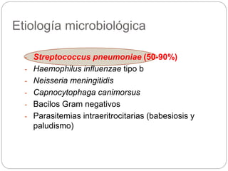 Etiología microbiológica
- Streptococcus pneumoniae (50-90%)
- Haemophilus influenzae tipo b
- Neisseria meningitidis
- Capnocytophaga canimorsus
- Bacilos Gram negativos
- Parasitemias intraeritrocitarias (babesiosis y
paludismo)
 