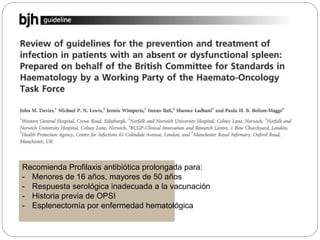 Recomienda Profilaxis antibiótica prolongada para:
- Menores de 16 años, mayores de 50 años
- Respuesta serológica inadecuada a la vacunación
- Historia previa de OPSI
- Esplenectomía por enfermedad hematológica
 