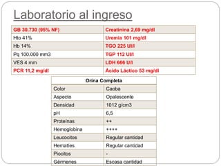 Laboratorio al ingreso
GB 30.730 (95% NF) Creatinina 2,69 mg/dl
Hto 41% Uremia 101 mg/dl
Hb 14% TGO 225 UI/l
Pq 100.000 mm3 TGP 112 UI/l
VES 4 mm LDH 666 U/l
PCR 11,2 mg/dl Ácido Láctico 53 mg/dl
Orina Completa
Color Caoba
Aspecto Opalescente
Densidad 1012 g/cm3
pH 6,5
Proteínas ++
Hemoglobina ++++
Leucocitos Regular cantidad
Hematíes Regular cantidad
Piocitos -
Gérmenes Escasa cantidad
 