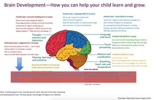 Zelfcontrole en planmatig denken ontwikkelt door tot leeftijd van 24
jaar
 
