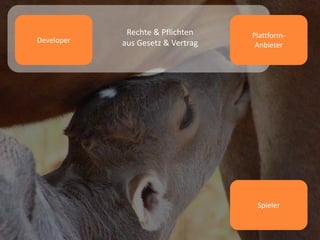 Plattform-
Anbieter
Spieler
Developer
Rechte & Pflichten
aus Gesetz & Vertrag
 