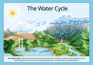 Game of Trulse on Forest and Water and other.pptx
