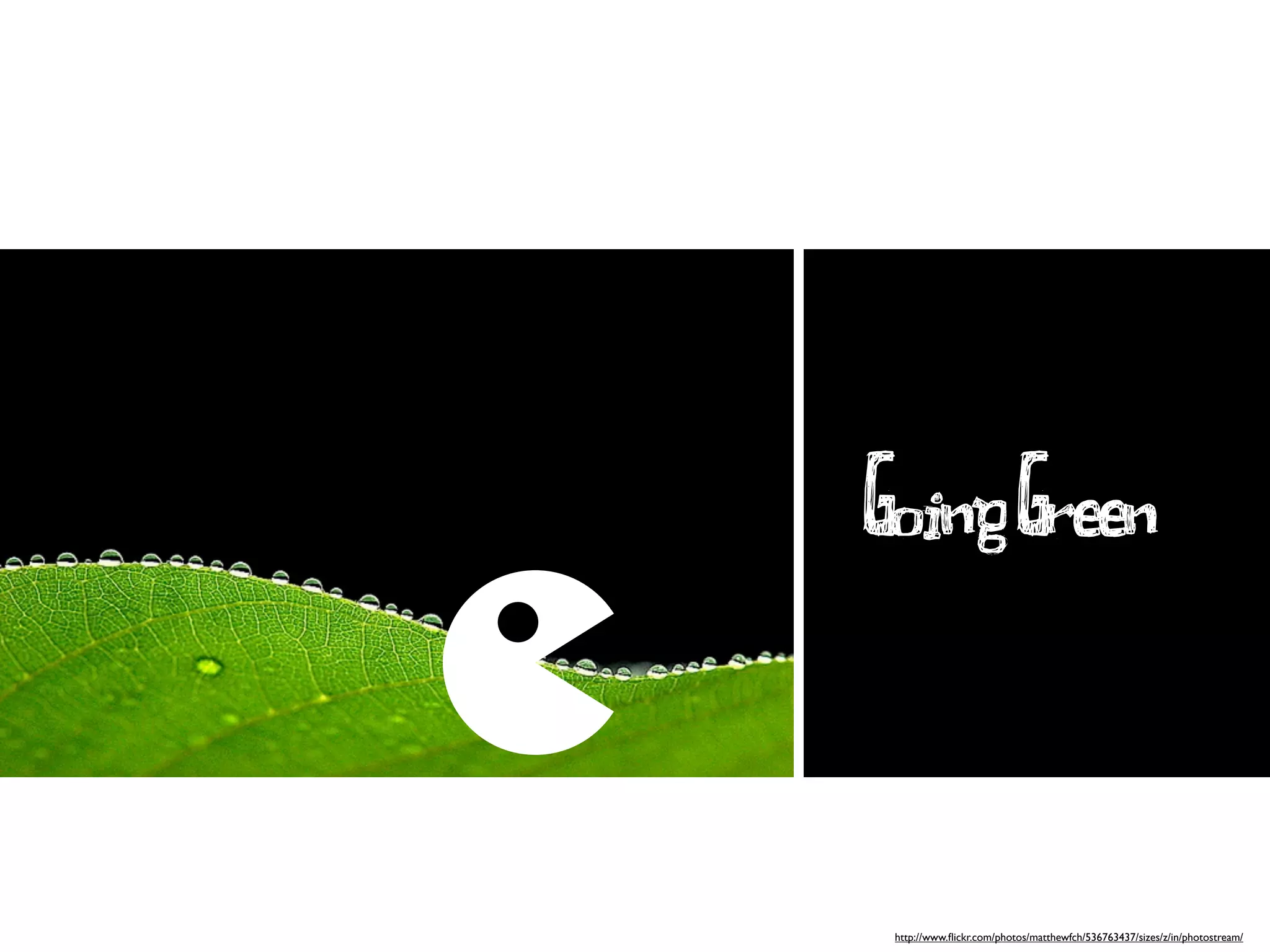 Going Green


 http://www.ﬂickr.com/photos/matthewfch/536763437/sizes/z/in/photostream/
 