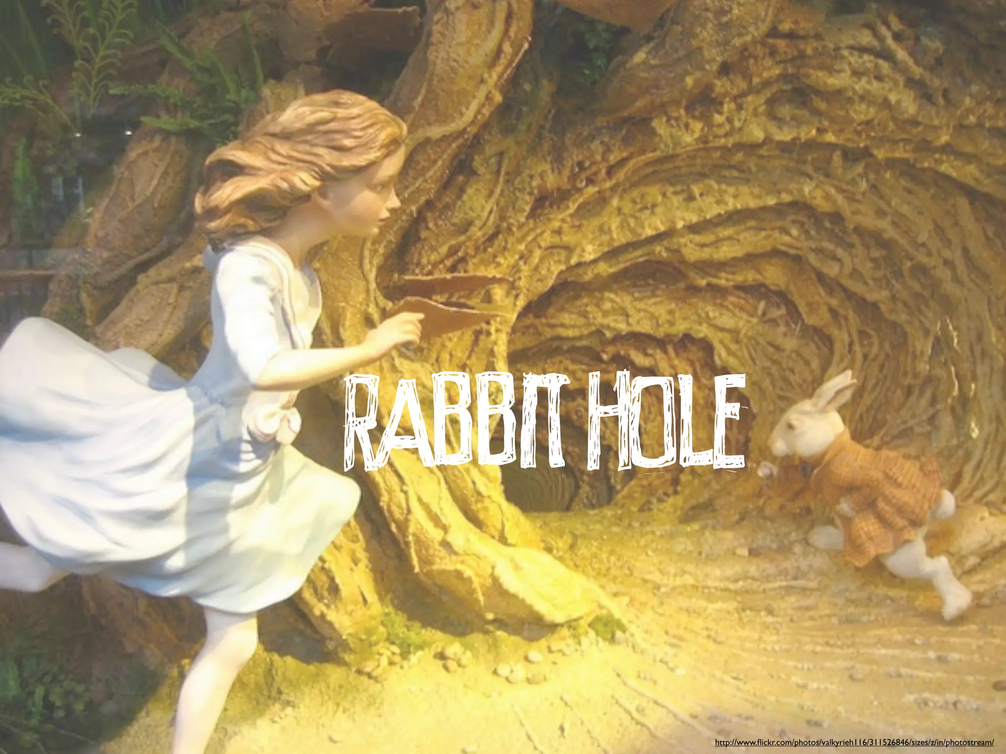 RABBIT HOLE
          http://www.ﬂickr.com/photos/valkyrieh116/311526846/sizes/z/in/photostream/
 