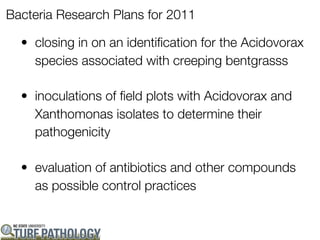 Bacteria Research Plans for 2011

  • closing in on an identification for the Acidovorax
    species associated with creeping bentgrasss

  • inoculations of field plots with Acidovorax and
    Xanthomonas isolates to determine their
    pathogenicity

  • evaluation of antibiotics and other compounds
    as possible control practices
 