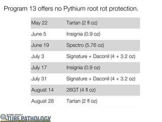Program 13 offers no Pythium root rot protection.

          May 22      Tartan (2 fl oz)

          June 5      Insignia (0.9 oz)

          June 19     Spectro (5.76 oz)

          July 3      Signature + Daconil (4 + 3.2 oz)

          July 17     Insignia (0.9 oz)

          July 31     Signature + Daconil (4 + 3.2 oz)

          August 14   26GT (4 fl oz)

          August 28   Tartan (2 fl oz)
 
