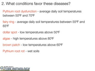 2. What conditions favor these diseases?
Pythium root dysfunction - average daily soil temperatures
between 50ºF and 70ºF

fairy ring - average daily soil temperatures between 55ºF and
65ºF

dollar spot - low temperatures above 50ºF

algae - high temperatures above 80ºF

brown patch - low temperatures above 60ºF

Pythium root rot - wet soils
 