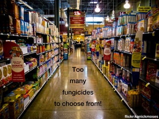 Too
    many
  fungicides
to choose from!
                  flickr:kanickmoses
 