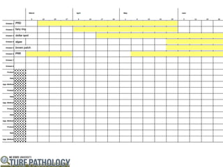 PRD

fairy ring

dollar spot

algae

brown patch

PRR
 