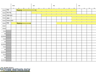 PRD           Segway
fairy ring

dollar spot

algae

brown patch

PRR           Segway
 