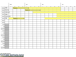PRD           Segway
fairy ring             Bayleton
dollar spot

algae

brown patch

PRR           Segway
 