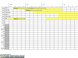 PRD           Segway         Honor
fairy ring             Bayleton
dollar spot

algae

brown patch

PRR           Segway
 