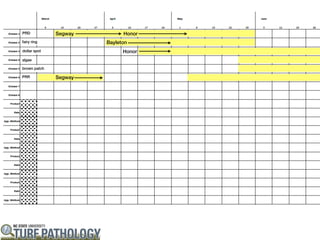 PRD           Segway         Honor
fairy ring             Bayleton
dollar spot                  Honor
algae

brown patch

PRR           Segway
 