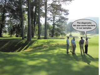 The diagnostic
lab saw some bacteria
    in our samples.
 