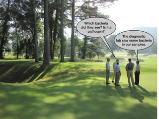 Which bacteria
did they see? Is it a
     pathogen?
                            The diagnostic
                        lab saw some bacteria
                            in our samples.
 