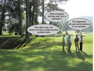 Which bacteria
                    did they see? Is it a
                         pathogen?
                                                The diagnostic
                                            lab saw some bacteria
      They didn’t say, but                      in our samples.
clearly we have a huge bacteria
         problem here.
 