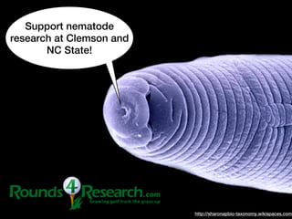Support nematode
research at Clemson and
       NC State!




                          http://sharonapbio-taxonomy.wikispaces.com
 