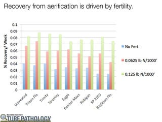 Recovery from aerification is driven by fertility.
 