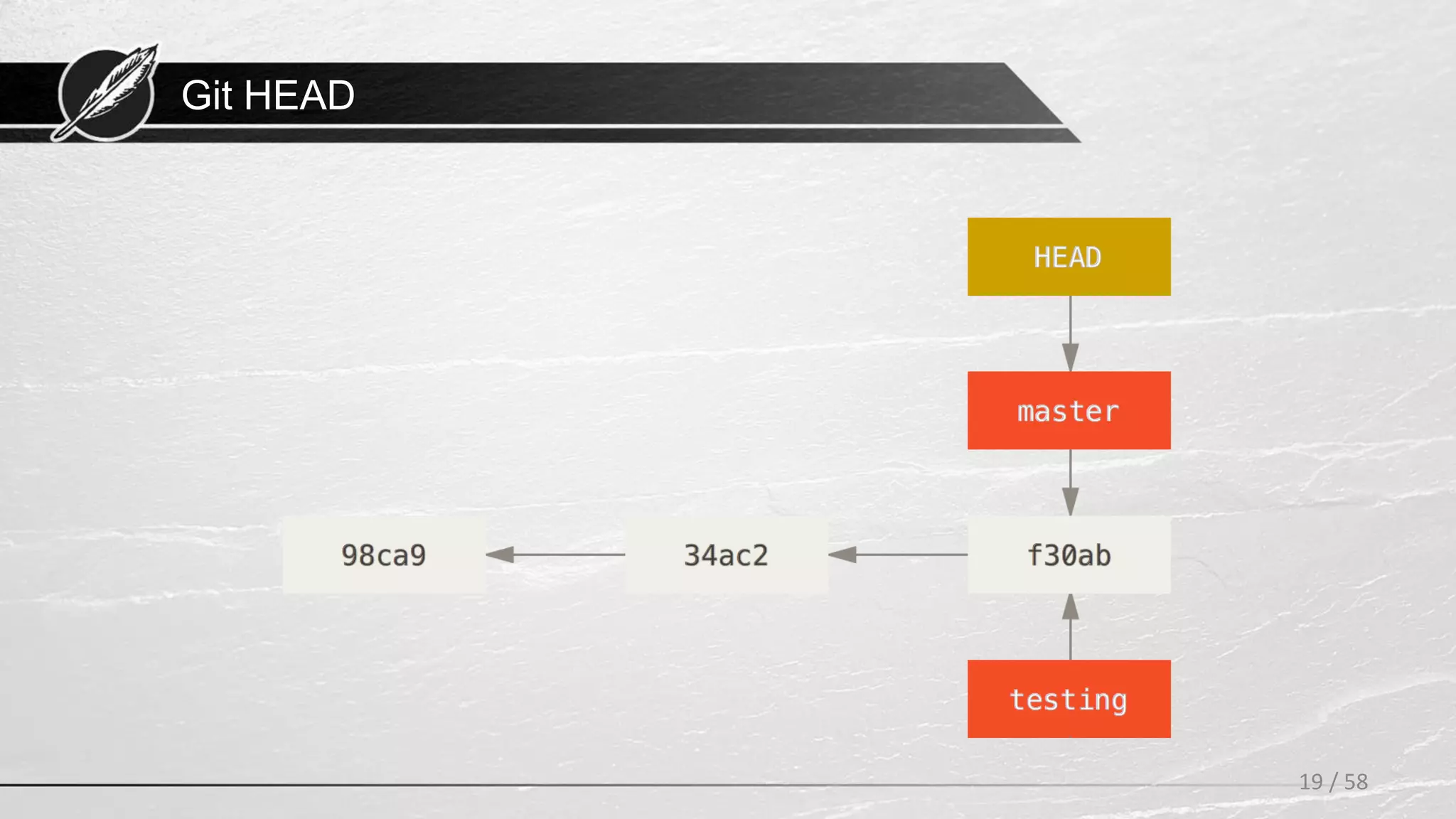 Git HEAD
19 / 58