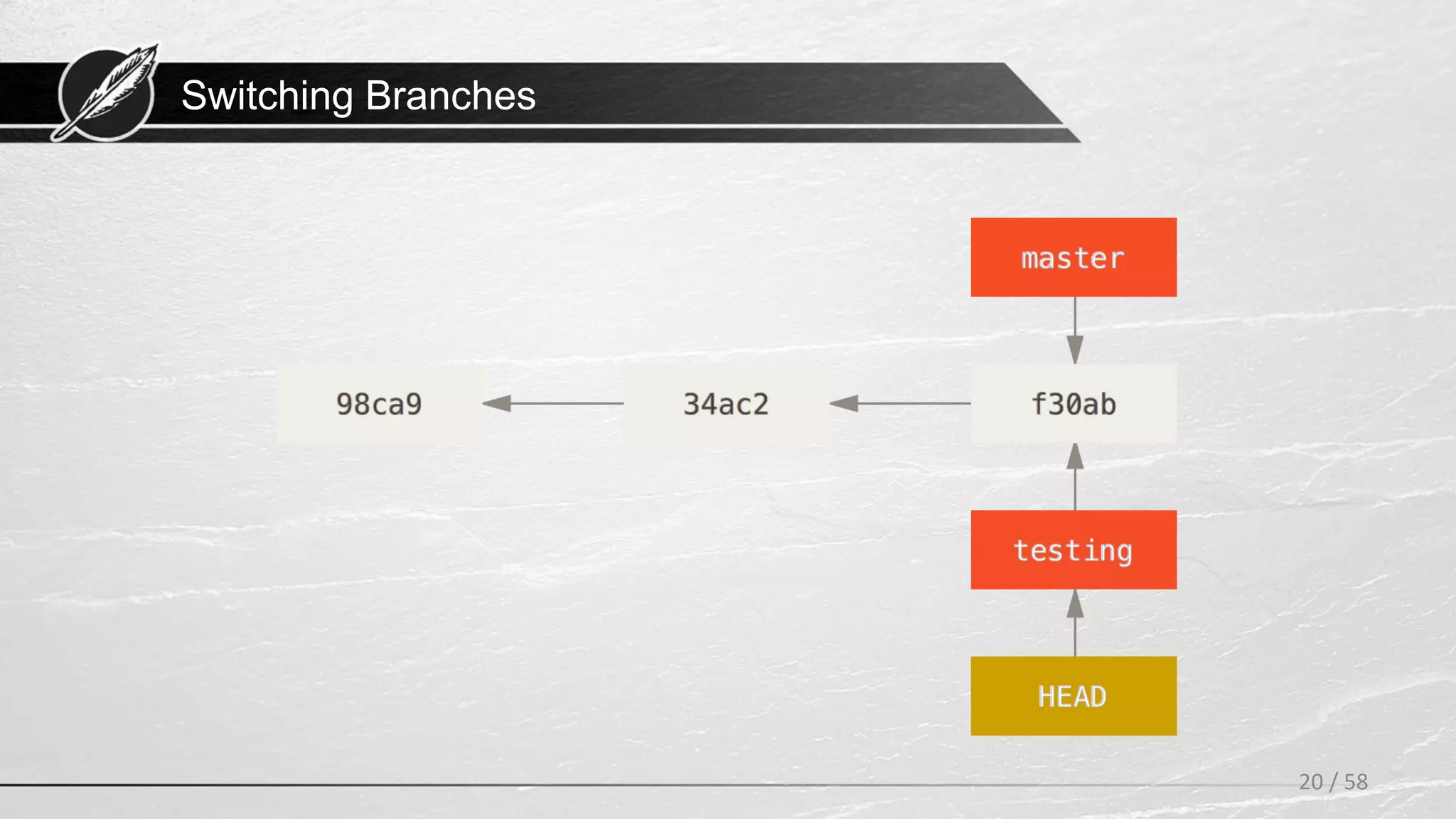 Switching Branches
20 / 58
