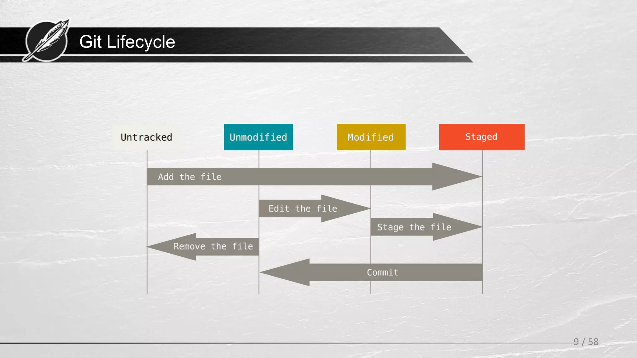Git Lifecycle
9 / 58