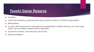 Tooshi Game Reserves Game Game Game Game Reserves | PPT