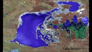 Lake Tengiz
 