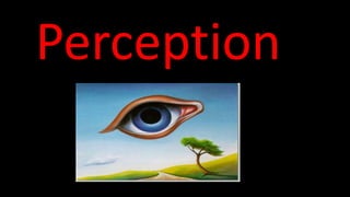 Perception
 