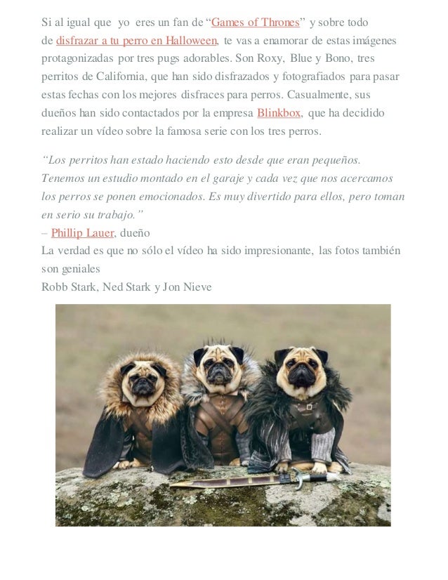 pug of thrones pugs of thrones disfrases para mascotas sld pug of thrones pugs of thrones disfrases para mascotas sld
