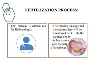 FERTILIZATION PROCESS:
This process is carried out
by Embryologist
After mixing the eggs and
the sperms, they will be
transferred back into the
woman’s body
via her vagina
with the help
of a catheter.
 