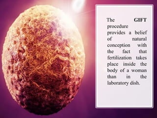 The GIFT
procedure
provides a belief
of natural
conception with
the fact that
fertilization takes
place inside the
body of a woman
than in the
laboratory dish.
 