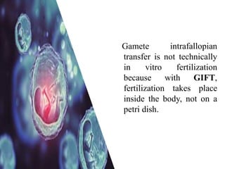 Gamete intrafallopian
transfer is not technically
in vitro fertilization
because with GIFT,
fertilization takes place
inside the body, not on a
petri dish.
 