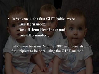 • In Venezuela, the ﬁrst GIFT babies were
Luis Hernández,
Rosa Helena Hernández and
Luisa Hernández ,
who were born on 24 June 1987 and were also the
ﬁrst triplets to be born using the GIFT method.
 