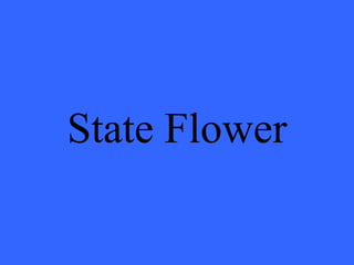 State Flower 