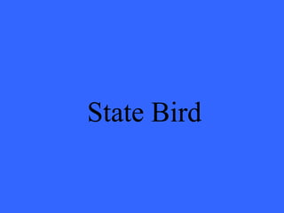State Bird 
