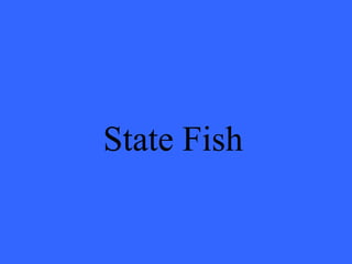State Fish 