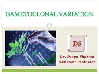 Dr. Divya Sharma
Assistant Professor
GAMETOCLONAL VARIATION
 