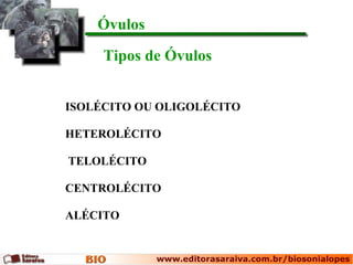 Óvulos
     Tipos de Óvulos


ISOLÉCITO OU OLIGOLÉCITO

HETEROLÉCITO

TELOLÉCITO

CENTROLÉCITO

ALÉCITO
 