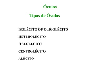 Óvulos
Tipos de Óvulos
ISOLÉCITO OU OLIGOLÉCITO
HETEROLÉCITO
TELOLÉCITO
CENTROLÉCITO
ALÉCITO
 