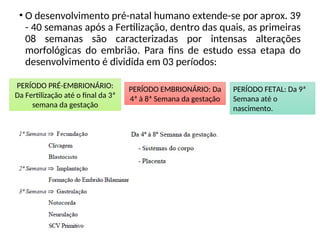 • O desenvolvimento pré-natal humano extende-se por aprox. 39
- 40 semanas após a Fertilização, dentro das quais, as primeiras
08 semanas são caracterizadas por intensas alterações
morfológicas do embrião. Para fins de estudo essa etapa do
desenvolvimento é dividida em 03 períodos:
PERÍODO PRÉ-EMBRIONÁRIO:
Da Fertilização até o final da 3ª
semana da gestação
PERÍODO EMBRIONÁRIO: Da
4ª à 8ª Semana da gestação
PERÍODO FETAL: Da 9ª
Semana até o
nascimento.
 