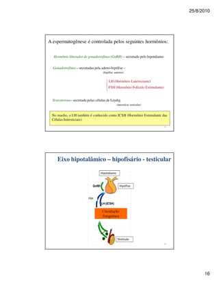 25/8/2010




A espermatogênese é controlada pelos seguintes hormônios:

  Hormônio liberador de gonadotrofinas (GnRH) – secretado pelo hipotálamo


  Gonadotrofinas – secretadas pela adeno-hipófise –
                                     (hipófise anterior)


                                          LH (Hormônio Luteinizante)
                                          FSH (Hormônio Folículo Estimulante)


  Testosterona– secretada pelas células de Leydig
                                                 (interstício testicular)


 No macho, o LH também é conhecido como ICSH (Hormônio Estimulante das
 Células Intersticiais).




     Eixo hipotalâmico – hipofisário - testicular




                          "




                                                           !




                                                                                      16
 