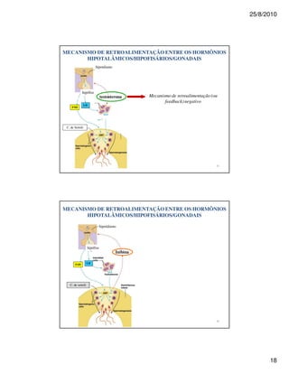 25/8/2010




MECANISMO DE RETROALIMENTAÇÃO ENTRE OS HORMÔNIOS
       HIPOTALÂMICOS/HIPOFISÁRIOS/GONADAIS
                        hipotálamo




             hipófise
                              testosterona       Mecanismo de retroalimentação (ou
                                                        feedback) negativo
                 LH
     FSH




 C. de Sertoli




                                                                                     *




MECANISMO DE RETROALIMENTAÇÃO ENTRE OS HORMÔNIOS
       HIPOTALÂMICOS/HIPOFISÁRIOS/GONADAIS

                              hipotálamo




                   hipófise
                                       Inibina

       FSH         LH




   C. de sertoli




                                                                                     +




                                                                                               18
 