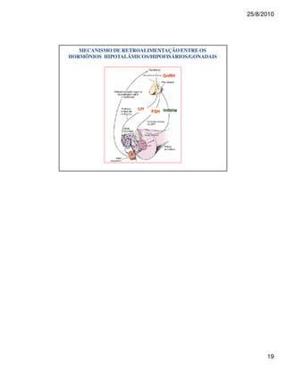 25/8/2010




   MECANISMO DE RETROALIMENTAÇÃO ENTRE OS
HORMÔNIOS HIPOTALÂMICOS/HIPOFISÁRIOS/GONADAIS


                              GnRH




                     LH
                          FSH inibina




                                                      19
 
