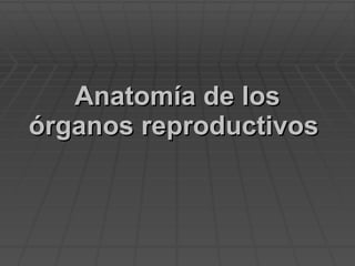Anatomía de los órganos reproductivos   