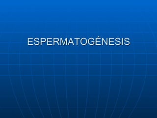 ESPERMATOGÉNESIS