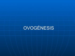 OVOGÉNESIS