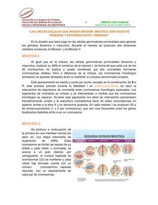 Universidad Los Ángeles de Chimbote
FACULTAD DE CIENCIAS DE LA SALUD                  4            EMBRIOLOGIA HUMANA
ESCUELA PROFESIONAL DE OBSTETRICIA                        OBSTETRA FELIPE FLORES PEREZ


     “LAS UNICAS CELULAS QUE INICIAN DIVISION MEIOTICA SON OVOCITO
                  PRIMARIO Y ESPERMATOCITO PRIMARIO”

       Es la división que tiene lugar en las células germinativas primordiales para generar
los gametos femenino y masculino. Durante la meiosis se producen dos divisiones
celulares sucesivas, la Meiosis I y la Meiosis II

MEIOSIS I:
        Al igual que en la mitosis, las células germinativas primordiales femenina y
masculina, duplican su ADN al comienzo de la meiosis I, de forma tal que cada uno de los
46 cromosomas se duplica y queda constituido por dos cromatidas hermanas
(cromosomas dobles). Pero a diferencia de la mitosis, los cromosomas homólogos
(similares) se aparean alineados entre si mediante un proceso denominado sinapsis.
        Este apareamiento es exacto y punto por punto, excepto en la combinación de X e
Y; este proceso permite durante la Metafase I el entrecruzamiento, es decir el
intercambio de segmentos de cromatida entre cromosomas homólogos apareados. Los
segmentos de cromatida se rompen y se intercambian a medida que los cromosomas
homólogos se separan. Durante esta separación los sitios de intercambio permanecen
transitoriamente unidos y la estructura cromosómica tiene en estas circunstancias un
aspecto similar a la letra X y se denomina quiasma. En cada meiosis I se producen 30 a
40 entrecruzamientos (1 o 2 por cromosoma), que son mas frecuentes entre los genes
localizados distantes entre si en un cromosoma



MEIOSIS II:
       Se produce a continuación de
la primera sin una interfase normal (es
decir sin una etapa intermedia de                SEGUNDA DIVISION MEIOTICA
duplicación     de      ADN).    Cada
cromosoma se divide (se separa de su
doble) y cada mitad, o cromatida, se
acerca a un polo distinto; por
consiguiente, el numero haploide de
cromosomas (23) se mantiene y cada
célula hija formada cuenta con un
número         cromosómico haploide
reducido, con un representante de
cada par de cromosomas.
 