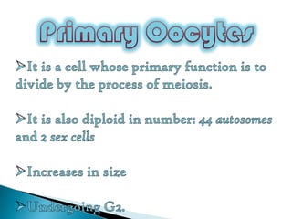 Gametogenesis | PPTX