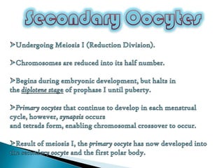 Gametogenesis | PPTX